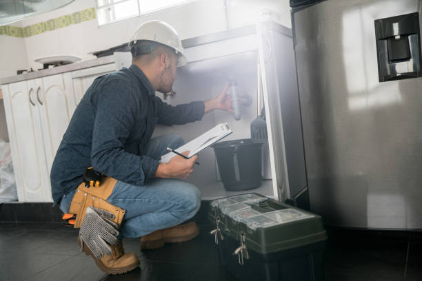 Best Plumbing Inspection Services  in Rapid City, MI