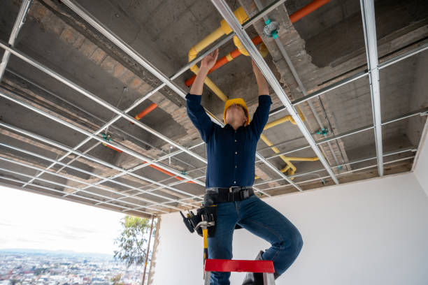 Best Sewer Line Repair  in Rapid City, MI