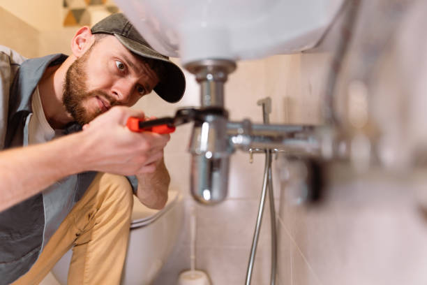 Best Residential Plumbing Services  in Rapid City, MI