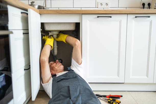 Best Same-Day Plumbing Service  in Rapid City, MI