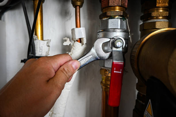Best 24-Hour Plumber Near Me  in Rapid City, MI